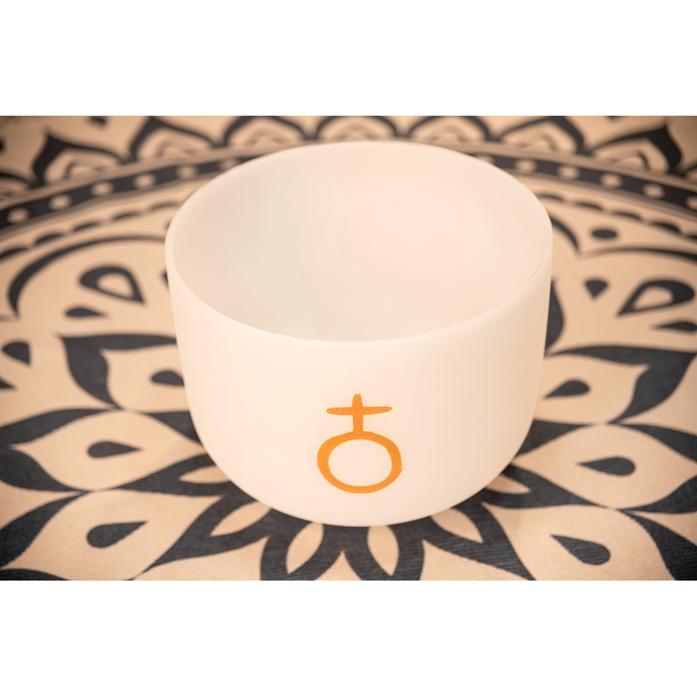 PCSB12E - Your Sound Journey - Meinl Sonic Energy